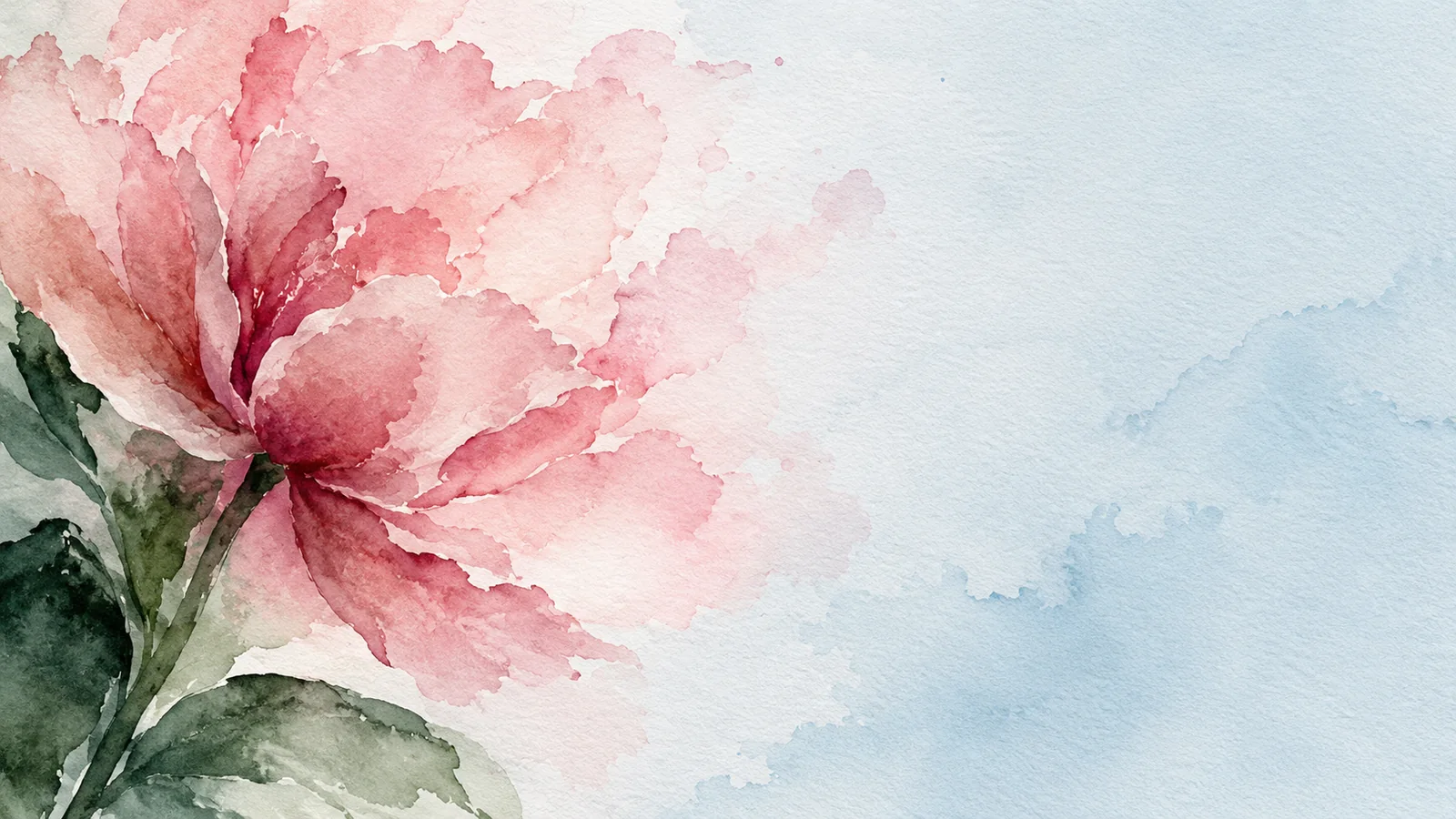 Rose watercolor pigment meeting a pale blue field on textured paper
